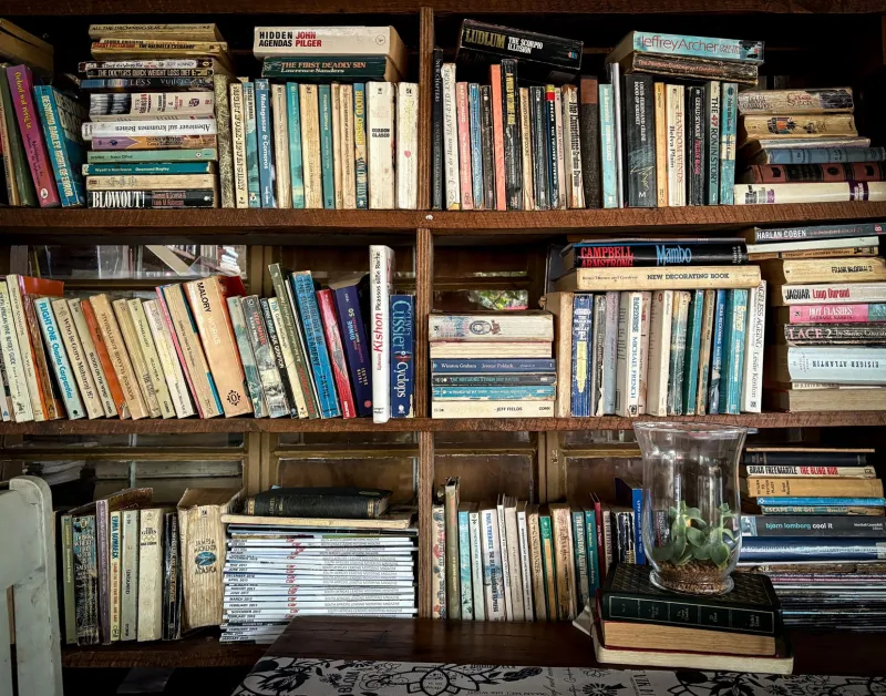 Confessions of a Disorganized Shelf: Reading My Own Reading History